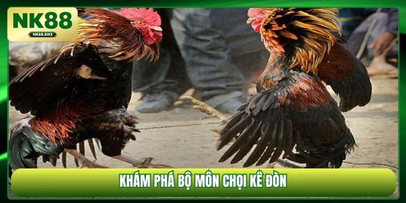Khám phá bộ môn chọi kê đòn